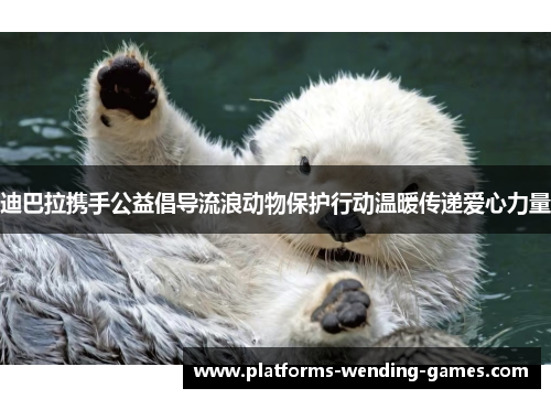 迪巴拉携手公益倡导流浪动物保护行动温暖传递爱心力量