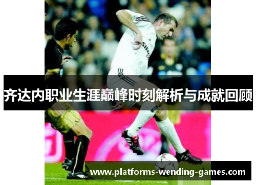 齐达内职业生涯巅峰时刻解析与成就回顾
