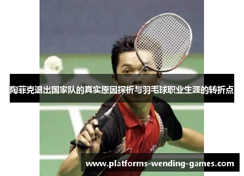 陶菲克退出国家队的真实原因探析与羽毛球职业生涯的转折点 陶菲克退出国家队的真实原因探析与羽毛球职业生涯的转折点
